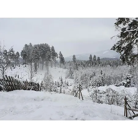 Nice In Ostre Gausdal With Wifi And 3 Bedrooms Nyaraló *